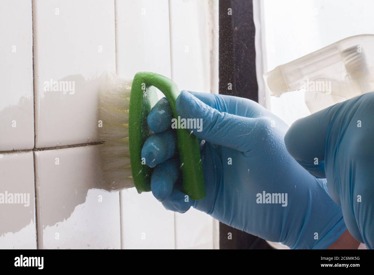 Eine Hand in einem blauen Gummihandschuh hält eine grüne Reinigungsbürste, die die weiße Fliesenoberfläche waschen Stockfoto