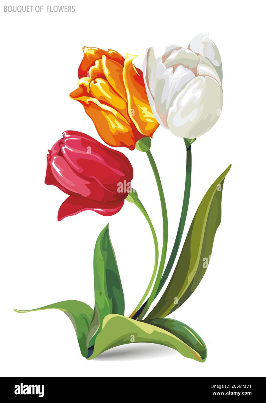 Elegant schöner Strauß von Tulpen Blumen, isoliert auf weißem Hintergrund Stock Vektor