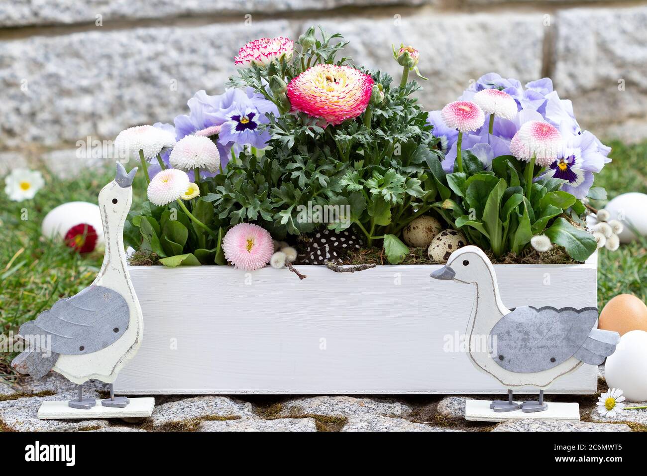 osterdekoration mit Frühlingsblumen in Wwoden Box und osterschweine Stockfoto