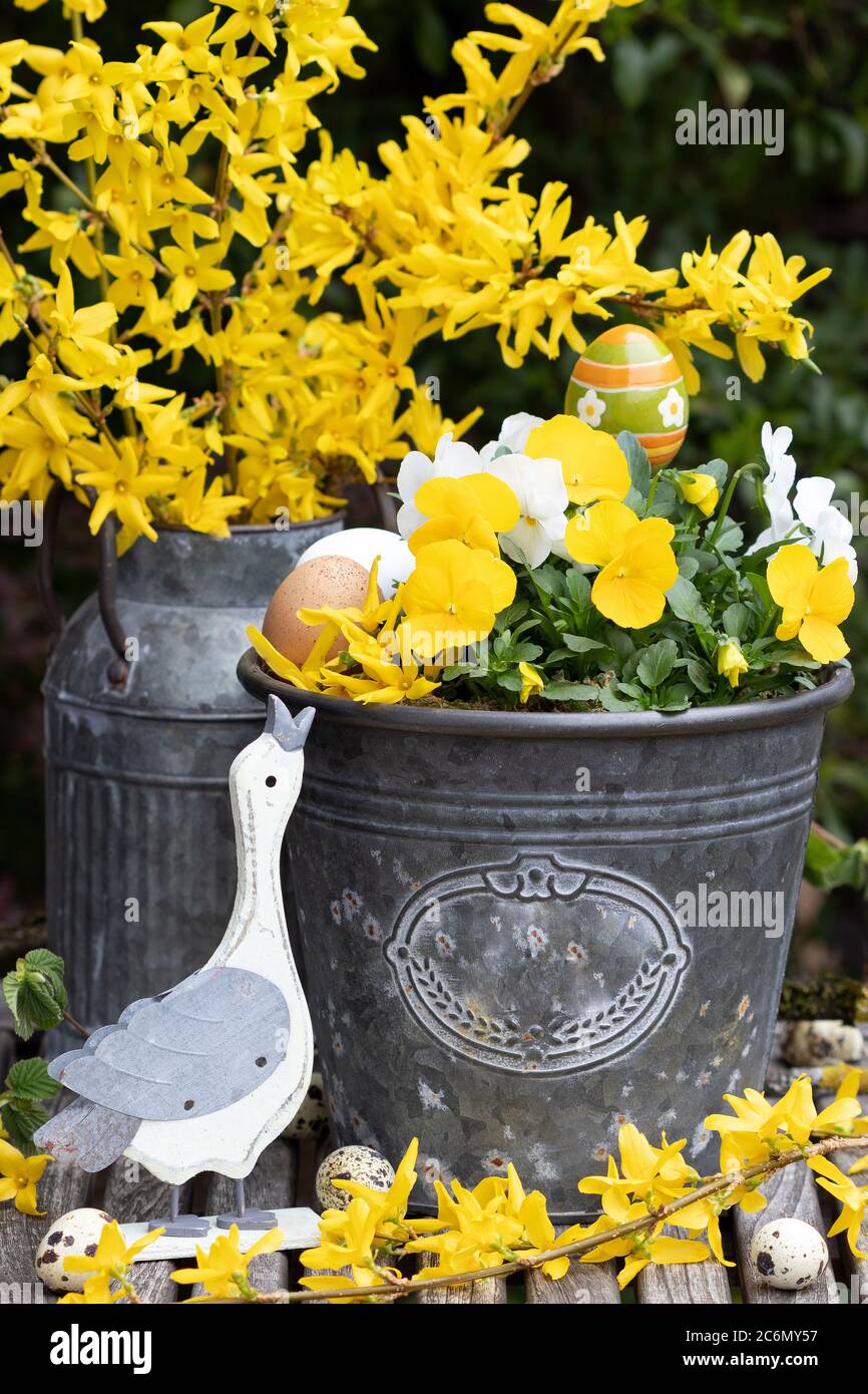 osterdekoration mit gelben Blumen und ostergans Stockfoto