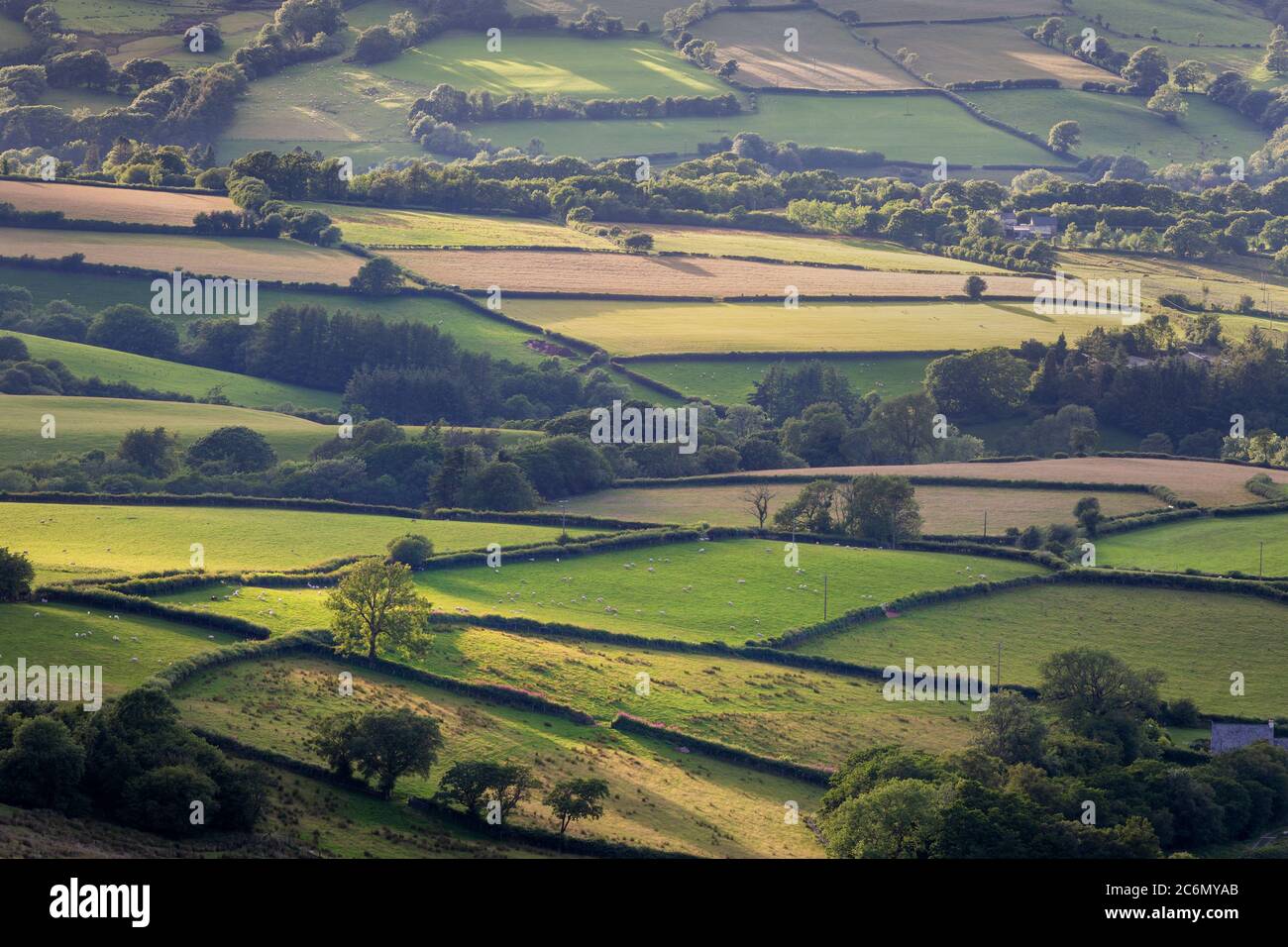 Felder und Ackerland von South Wales Stockfoto