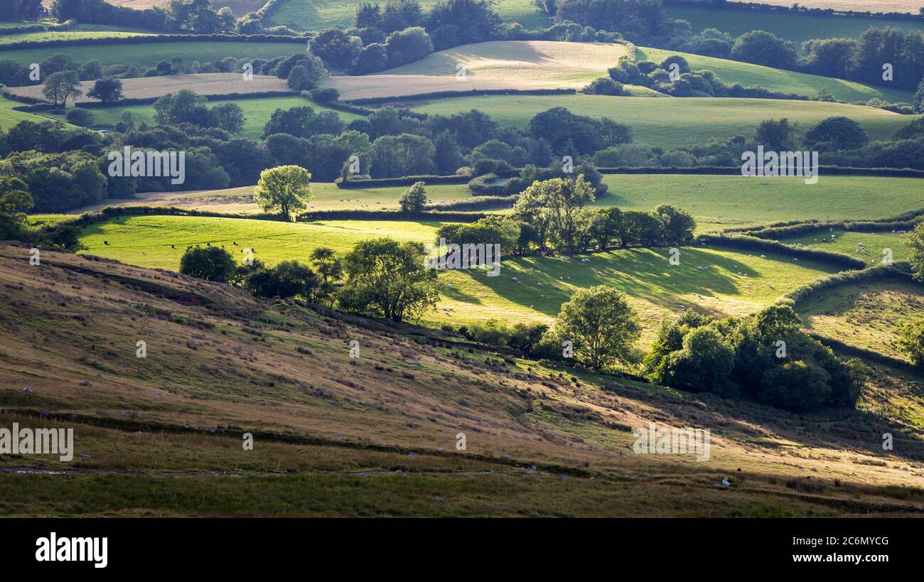 Felder und Ackerland von South Wales Stockfoto