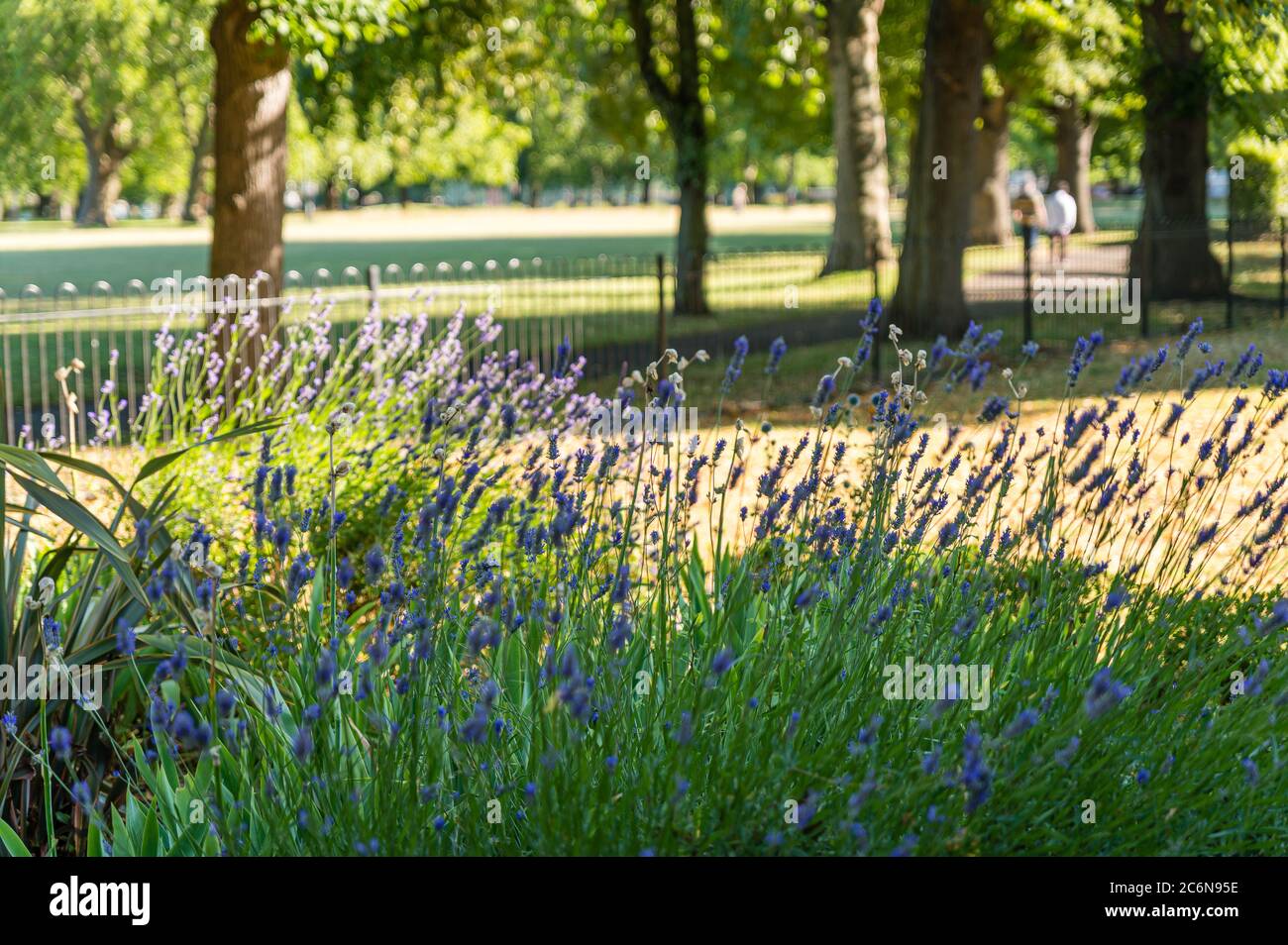 Plashet Park, East Ham, London Stockfoto