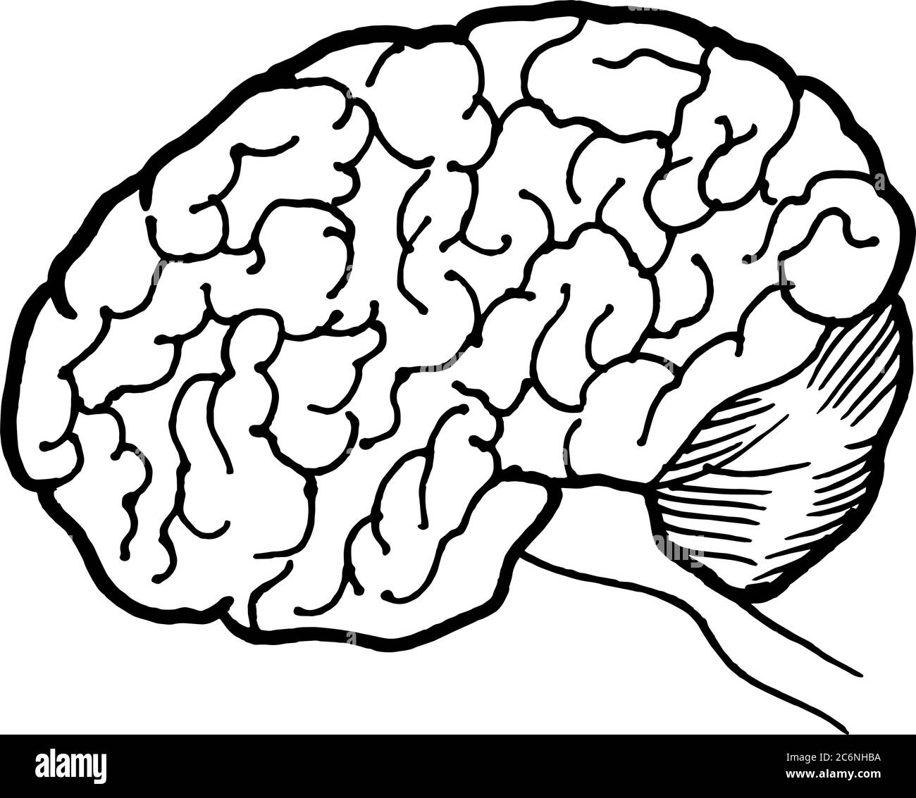 Lineare handgezeichnete Illustration des menschlichen Gehirns für Logo oder Banner / Design-Vorlage Stock Vektor