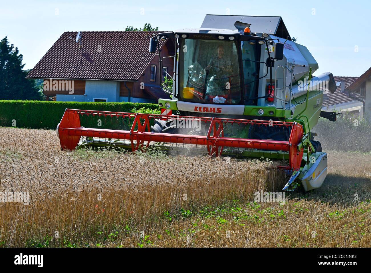 Reisenberg, Österreich - 10. Juli 2020: Getreideernte eines Weizenfeldes mit einem Mähdrescher in Niederösterreich Stockfoto