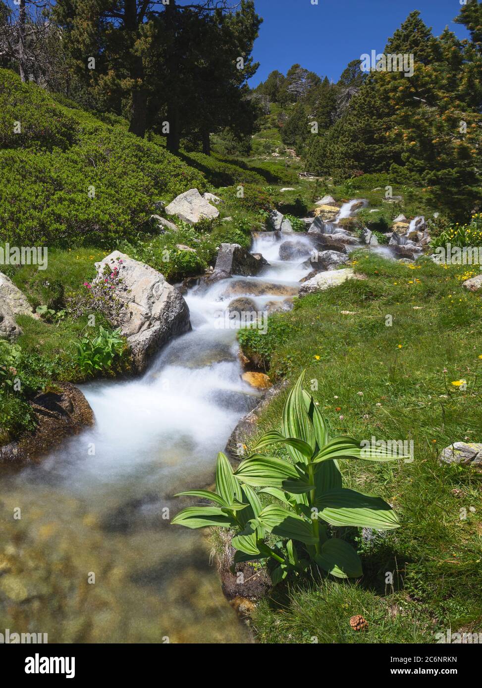 Ter River steigt von Ulldeter in den katalanischen Pyrenäen Stockfoto