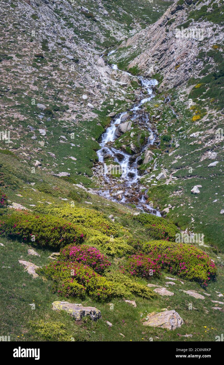 Ter River steigt von Ulldeter in den katalanischen Pyrenäen Stockfoto