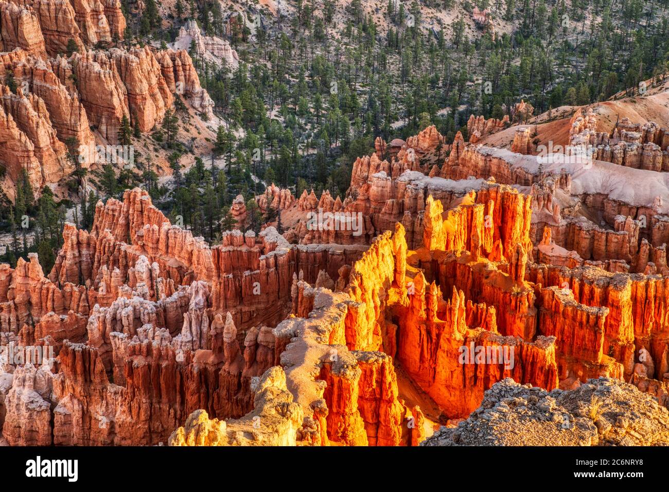 Bryce Canyon National Park bei Sonnenaufgang, Blick vom Bryce Point, Utah, USA Stockfoto