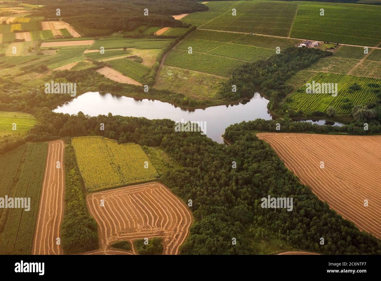 Kleiner See zwischen bunten landwirtschaftlichen Feldern, Luftbild Stockfoto