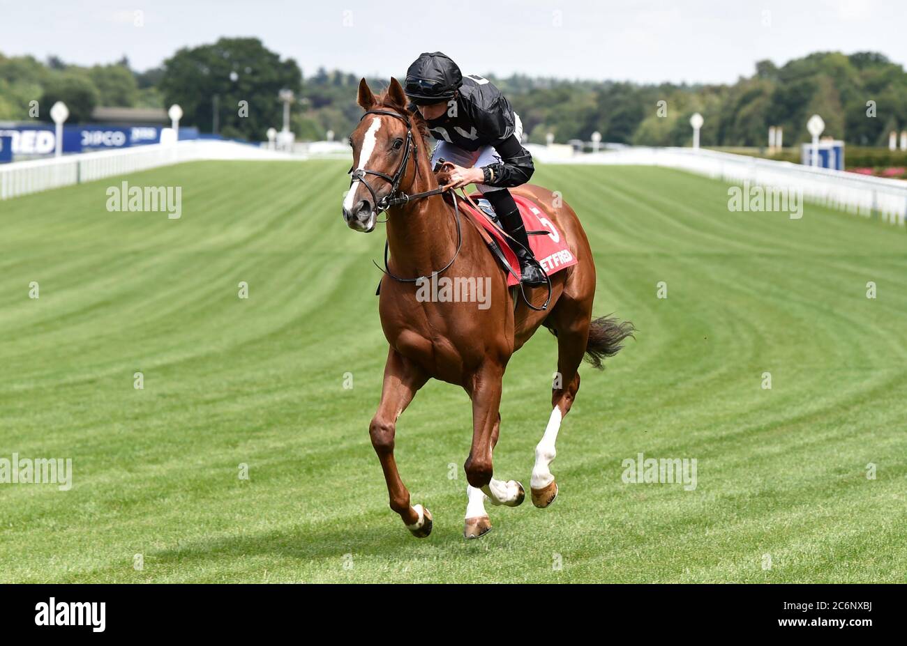 Carlos Felix, der von Luke Morris geritten wird, gewinnt die Handicap Stakes von Ascot Racecourse, Berkshire, und zwar die 'Play Nifty Fifty Exklusiv bei Betfred'. Stockfoto