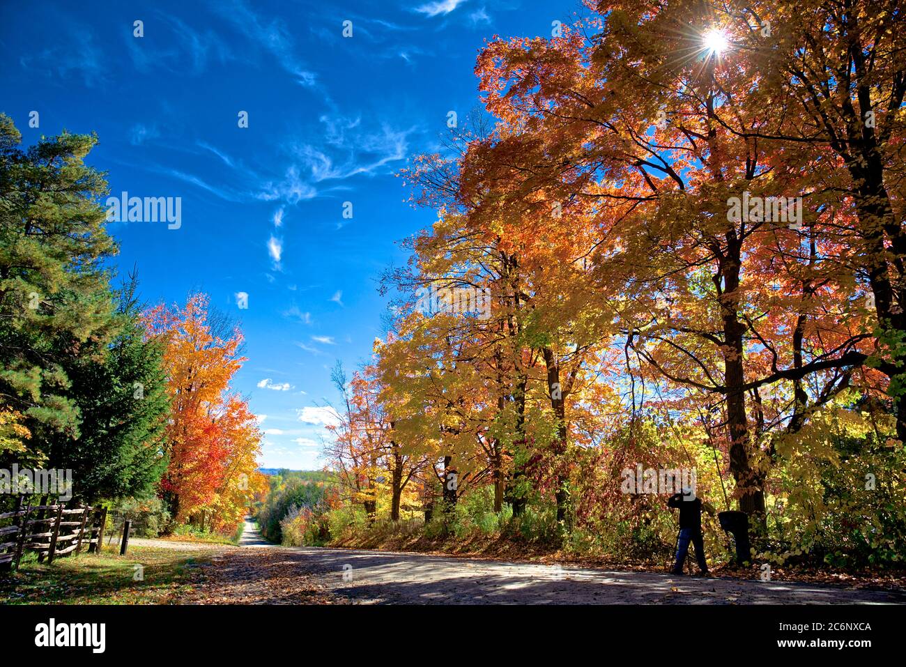 Der Fotograf fotografiert die Landschaft der Bergstraße mit Herbstlaub Farbe Stockfoto