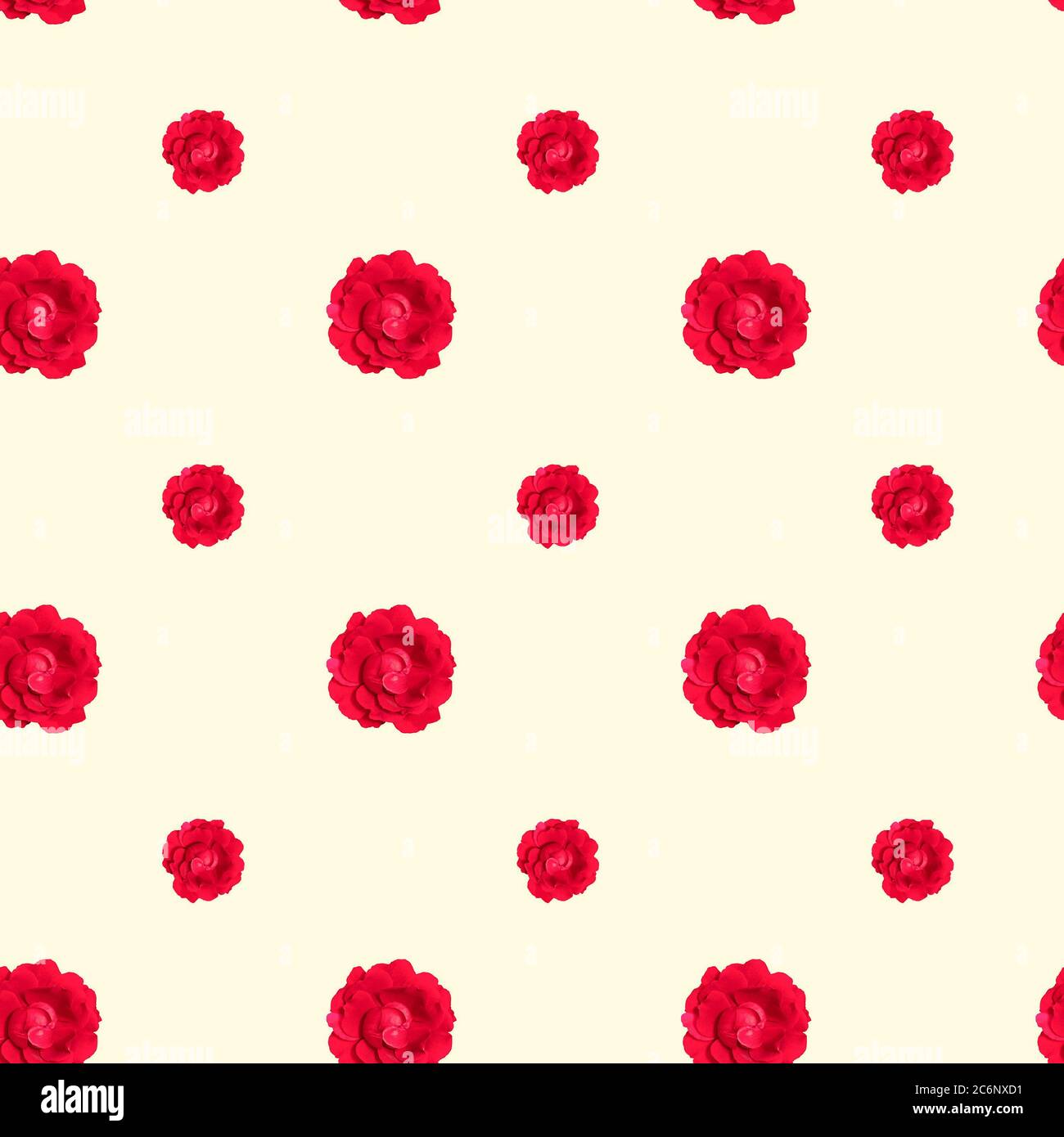 Florales Nahtloses Muster mit roten Rosenblüten auf hellbeigem Hintergrund Stockfoto