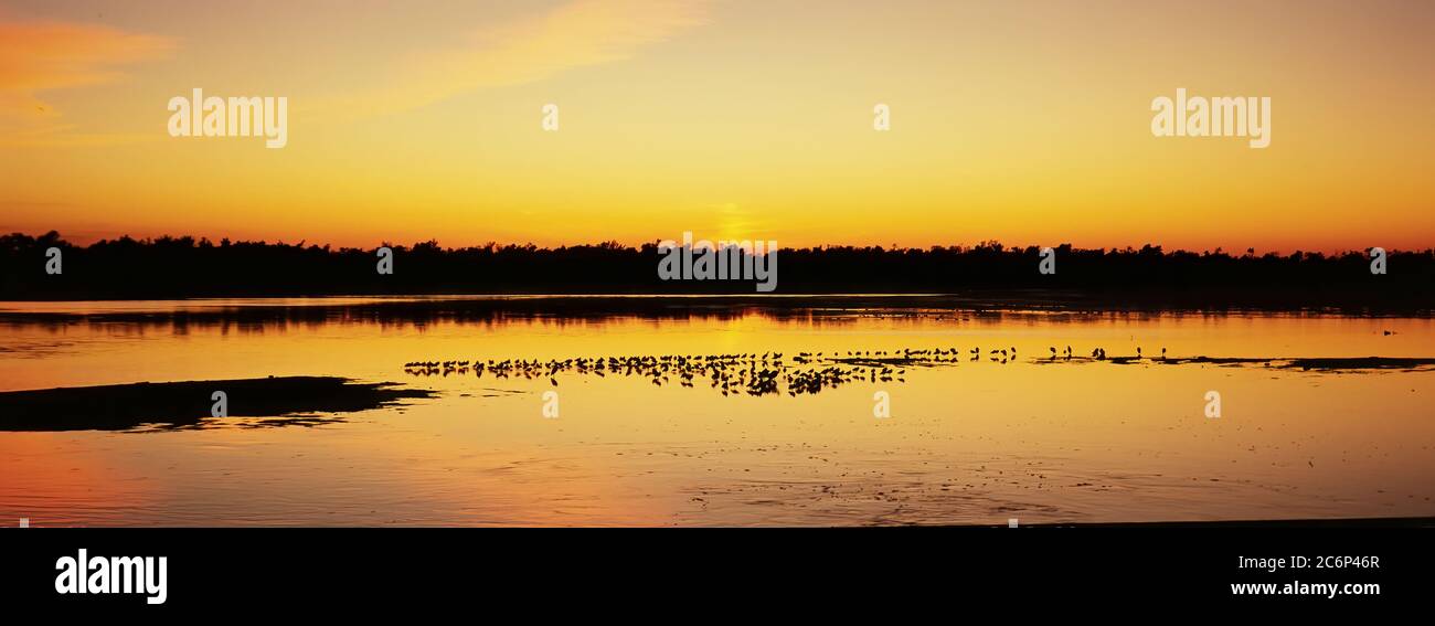 Vögel im Wasser bei Sonnenuntergang über J.N. 'Ding' Darling National Wildlife Refuge auf Sanibel Island in Florida in den Vereinigten Staaten Stockfoto