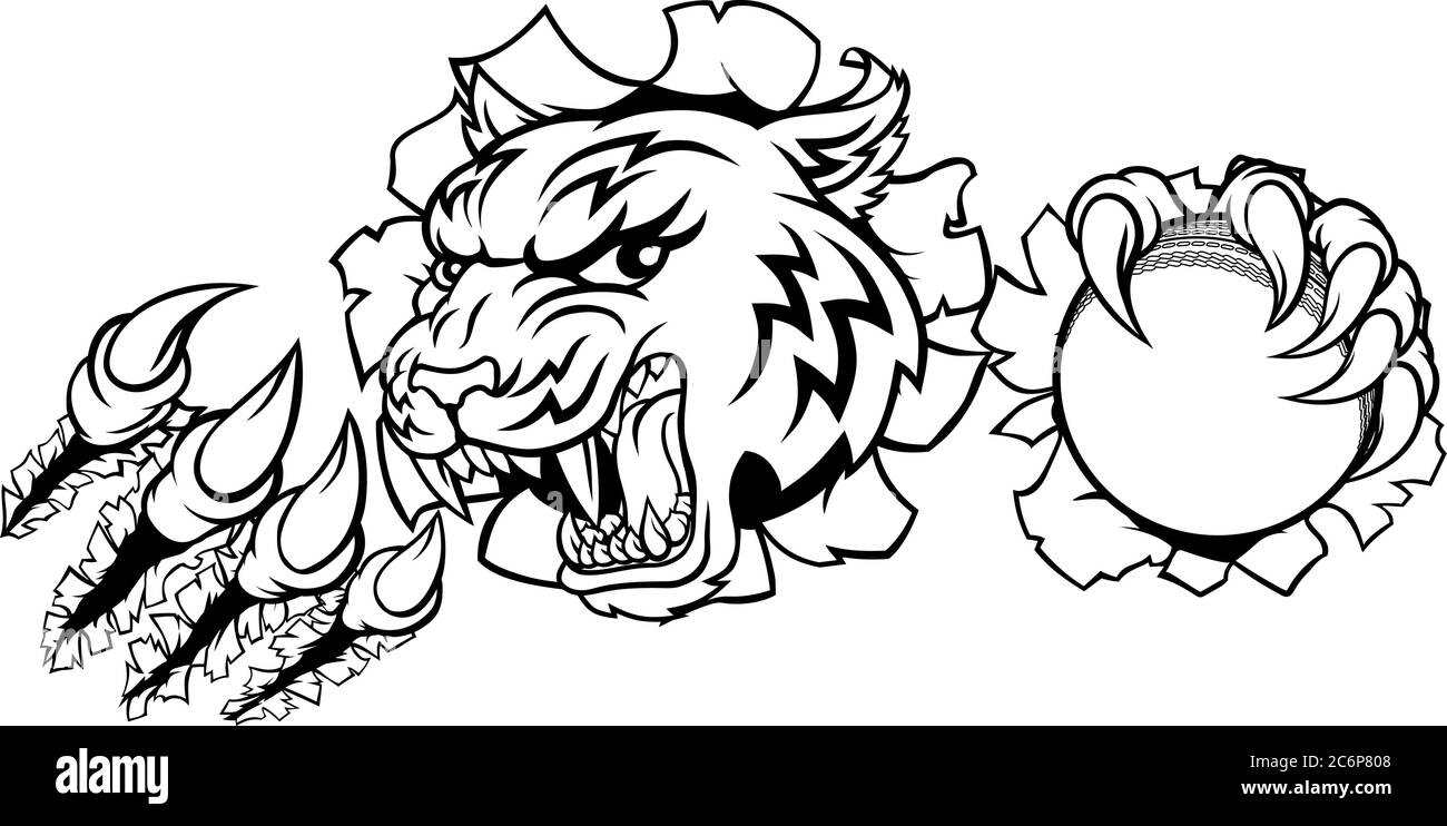 Tiger Kricketspieler Tier Sport Maskottchen Stock Vektor