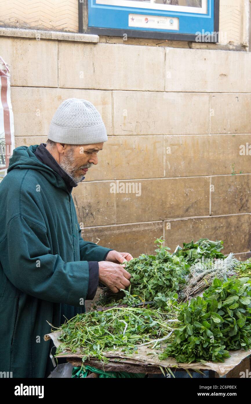 Fes, Marokko - 23. Februar 2019: Ein älterer Mann verkauft frische Kräuter in der Altstadt von Fes in Marokko. Frische Kräuter werden verkauft und reichlich verwendet Stockfoto