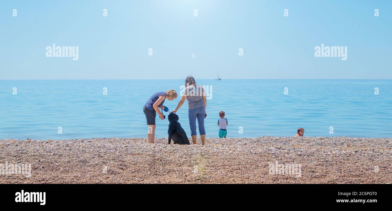 Am Strand kümmern sich zwei Weibchen um ihren Hund, der wahrscheinlich zu heiß, dehydriert oder einfach nur müde ist... Stockfoto
