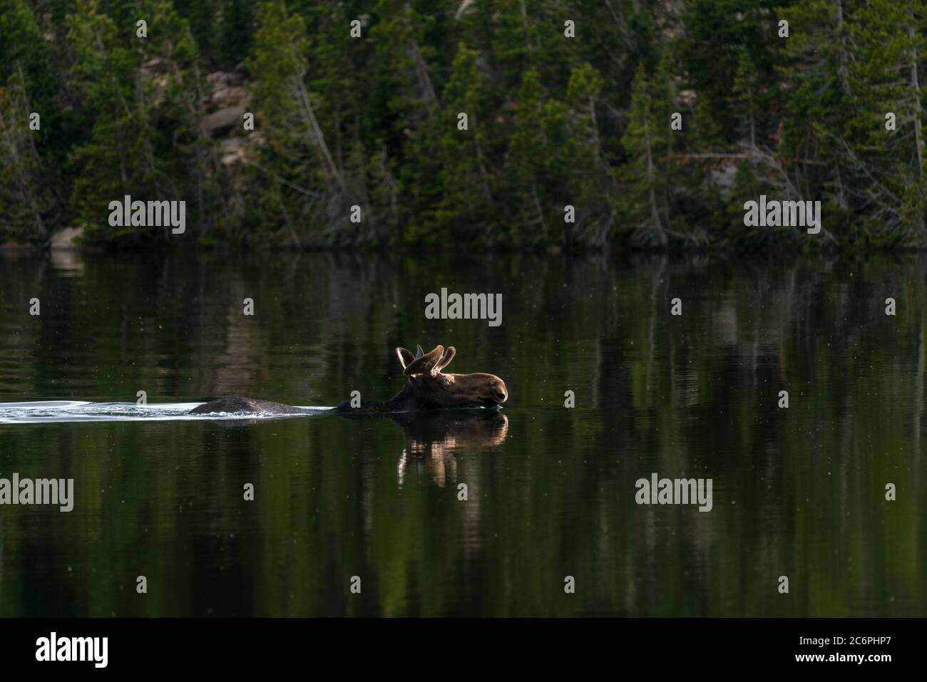 Sandbeach Lake, im Wildbassin Bereich von RMNP. Stockfoto