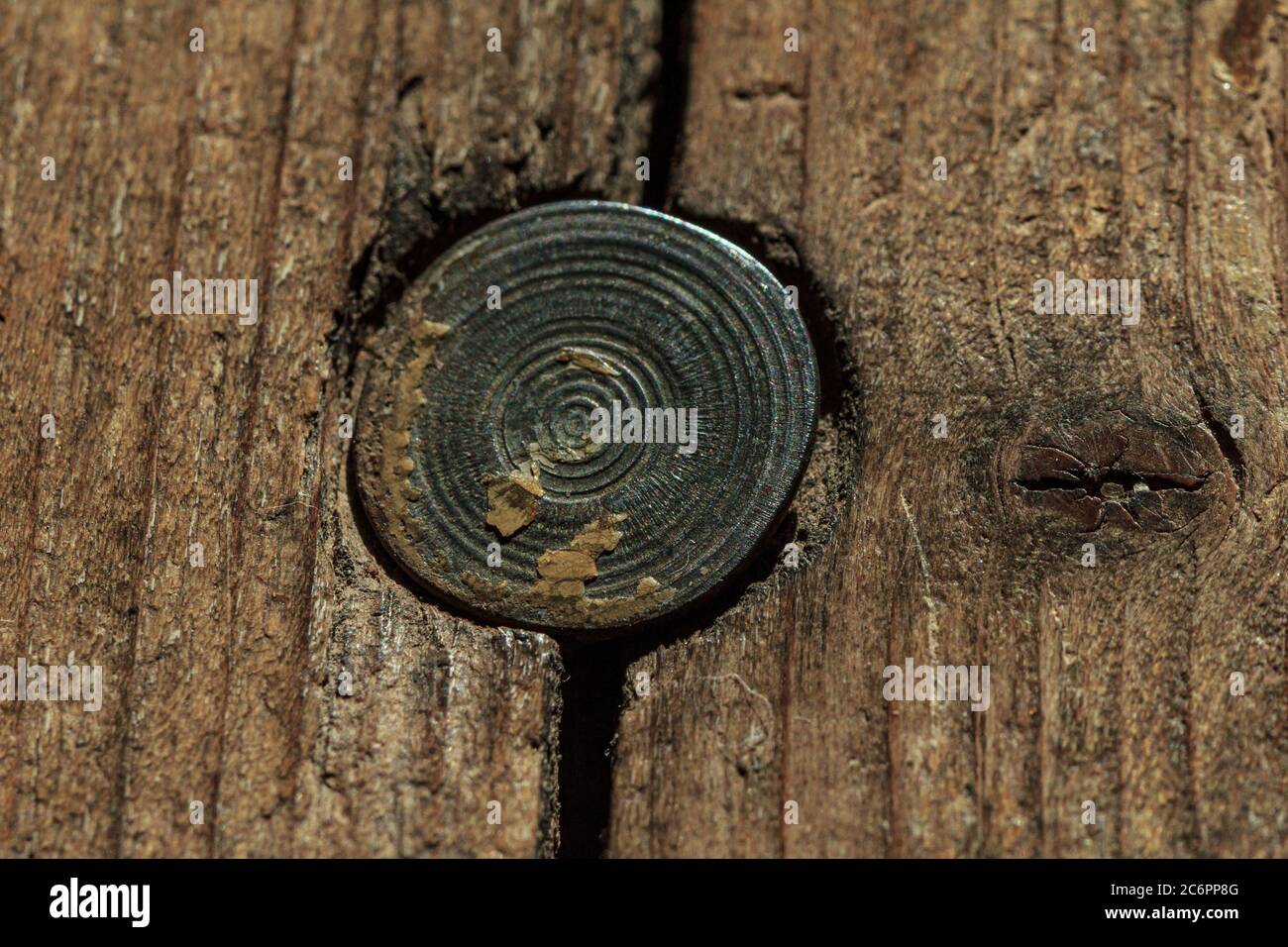 Schraube Textur Kreis close up, Metall in Holz Stockfoto