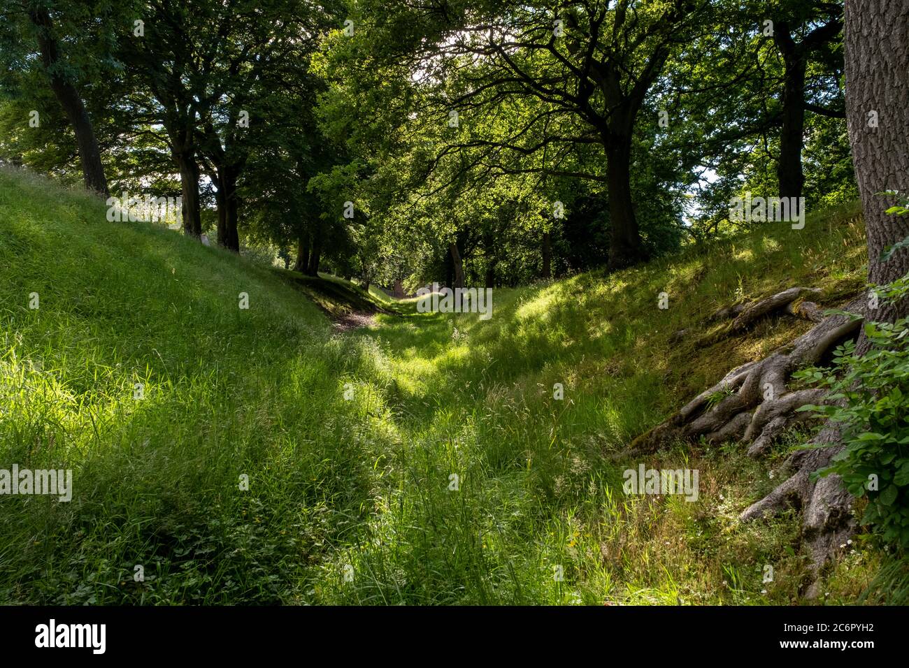 Antonine Wall in der Nähe der Watling Lodge, Tamfourhill Road, Falkirk, Schottland. Stockfoto