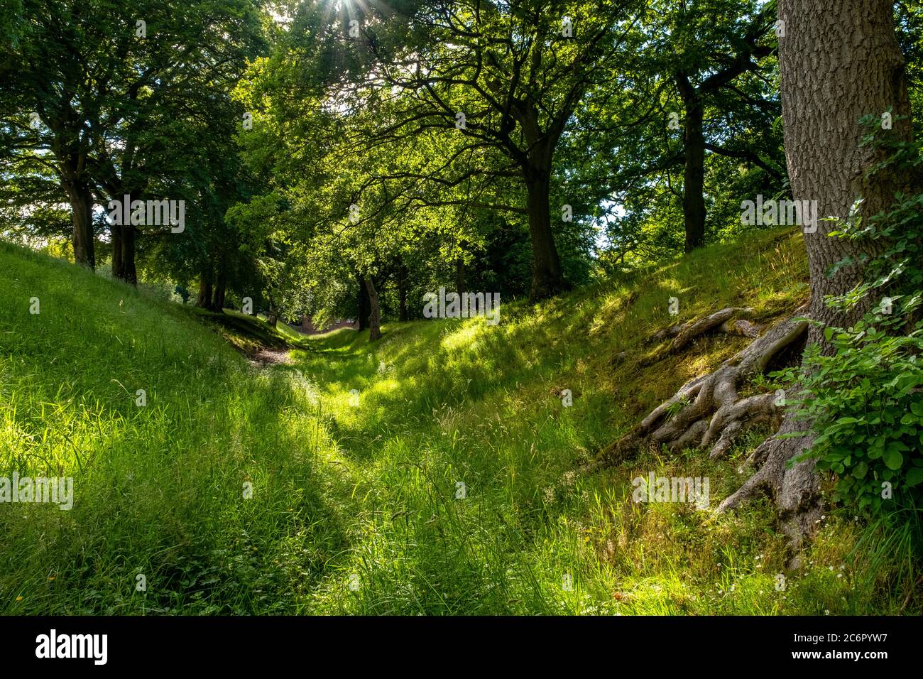 Antonine Wall in der Nähe der Watling Lodge, Tamfourhill Road, Falkirk, Schottland. Stockfoto