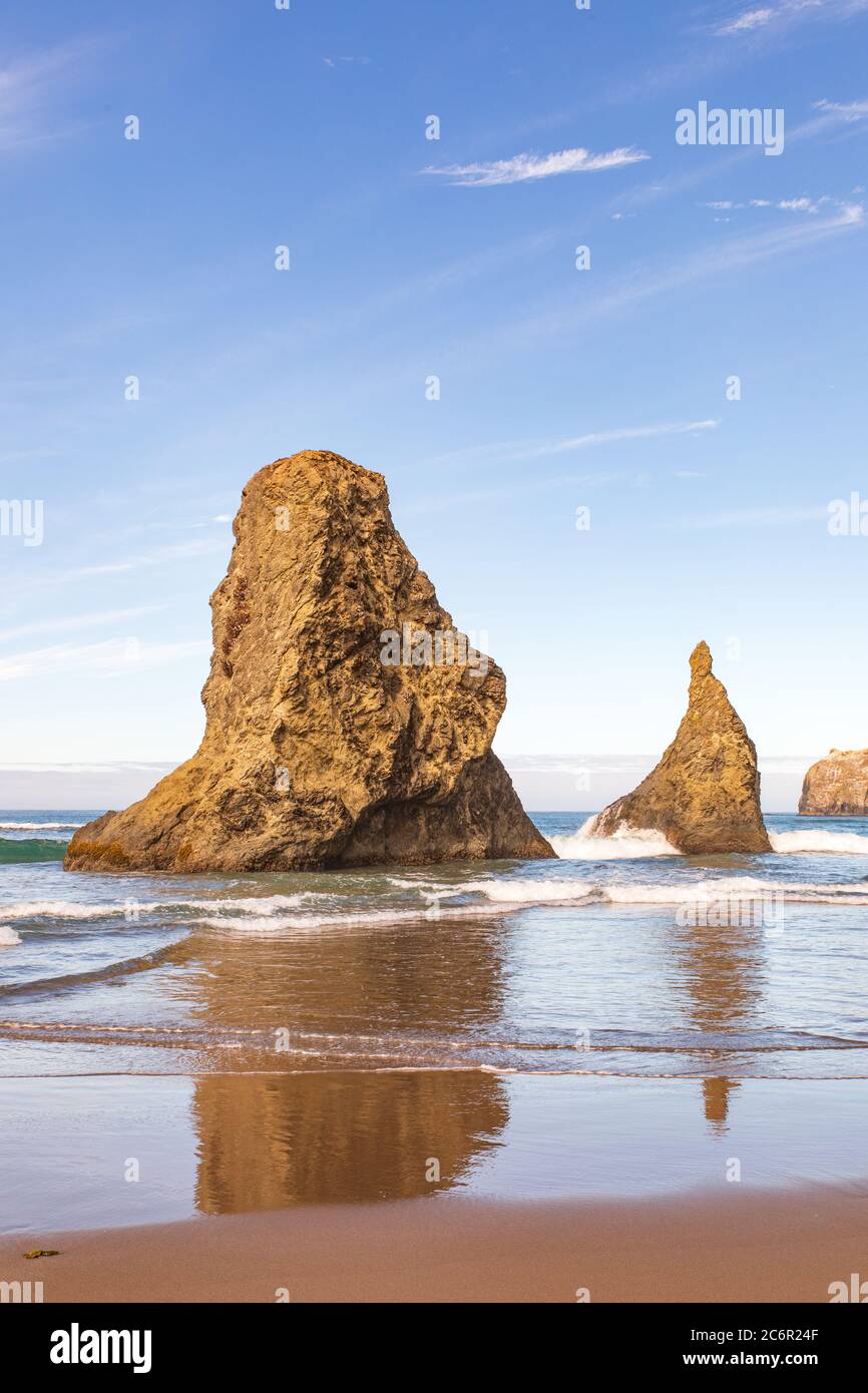 Vertikales Bild - zwei Seestapel, die sich im Wasser am Bandon Beach in Oregon spiegeln Stockfoto