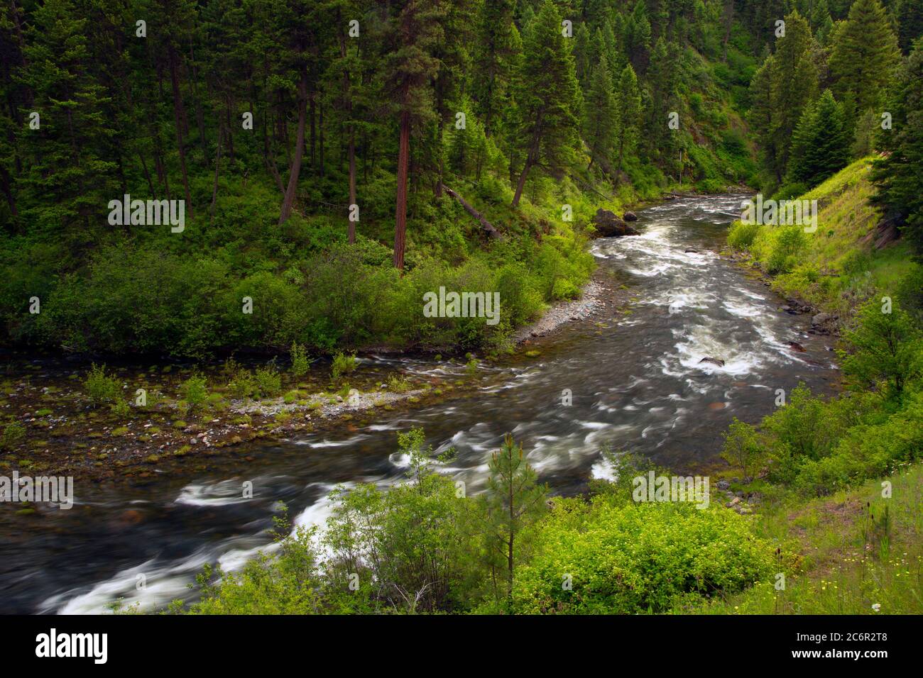 North Fork John Day Wild and Scenic River, Umatilla National Forest, Oregon Stockfoto