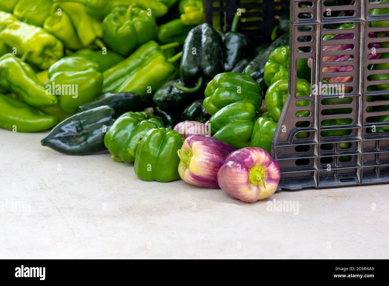 Frische Paprika auf einem lokalen Bio-Bauernmarkt zu verkaufen. Köstliche Produkte aus der Region für einen gesünderen Lebensstil. Stockfoto