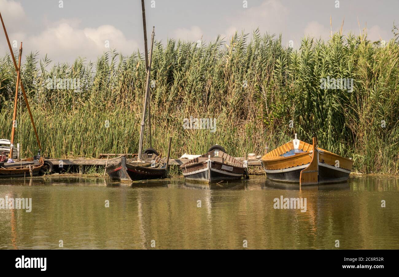 Gruppe von traditionellen Holzbooten. Lateinische Segelschiffe, im Hafen der Albufera in Valencia Spanien Stockfoto