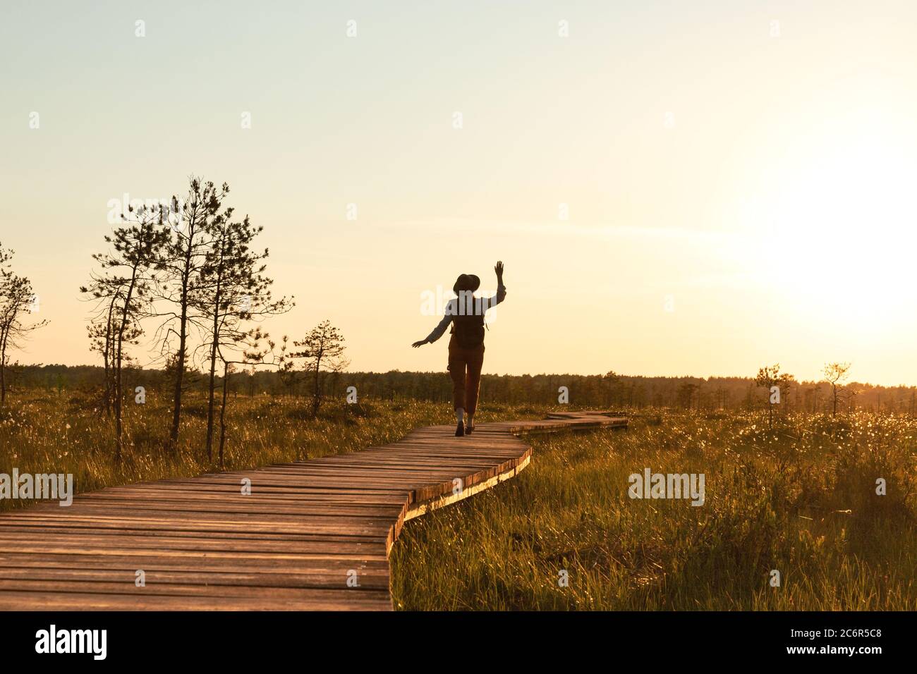 Silhouette der Frau mit Rucksack auf Wanderweg im Sommer im Freien. Naturforscher genießt die Natur und einen Moment bei Sonnenuntergang zu Fuß auf dem Weg durch Torfmoor Stockfoto