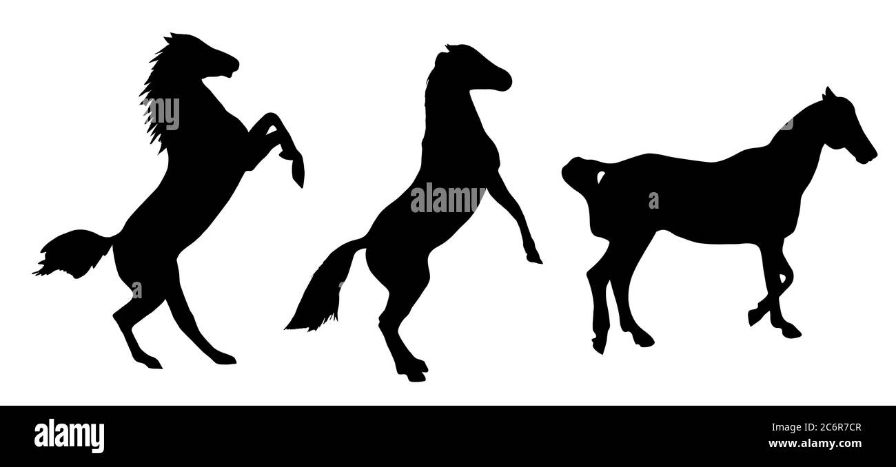 Schwarze Silhouette eines Pferdes auf weißem Hintergrund. Vektorgrafik EPS10 Stock Vektor