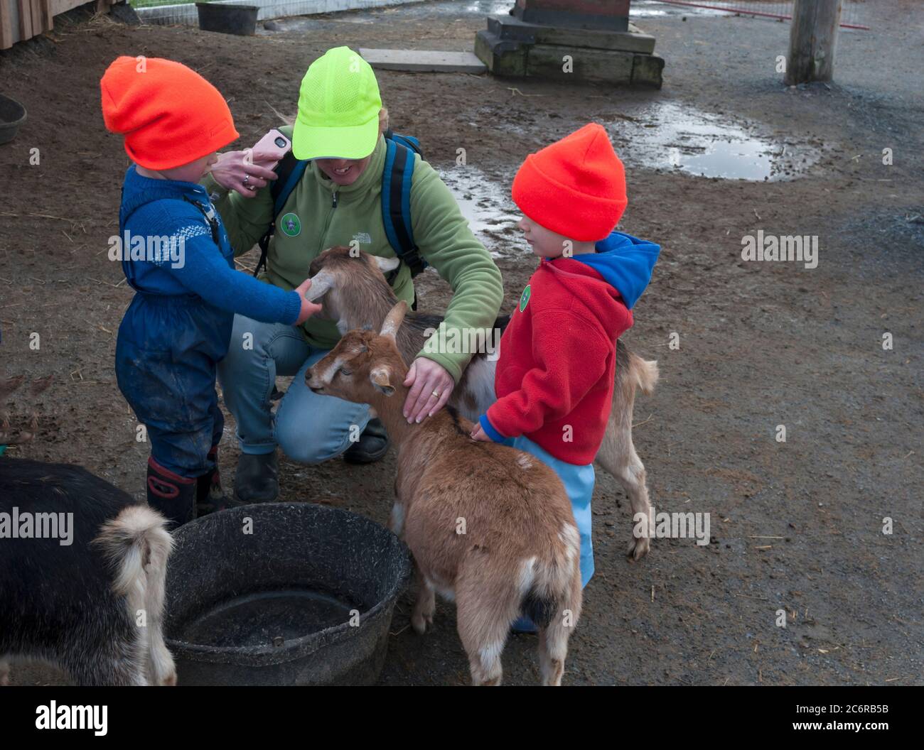 Ein Erwachsener und zwei Kinder streicheln eine Ziege auf einer kinderfreundlichen Farm in Nova Scotia, Kanada. Kein Zoo. Ein kinderfreundlicher Bereich auf einem Bauernhof. Stockfoto