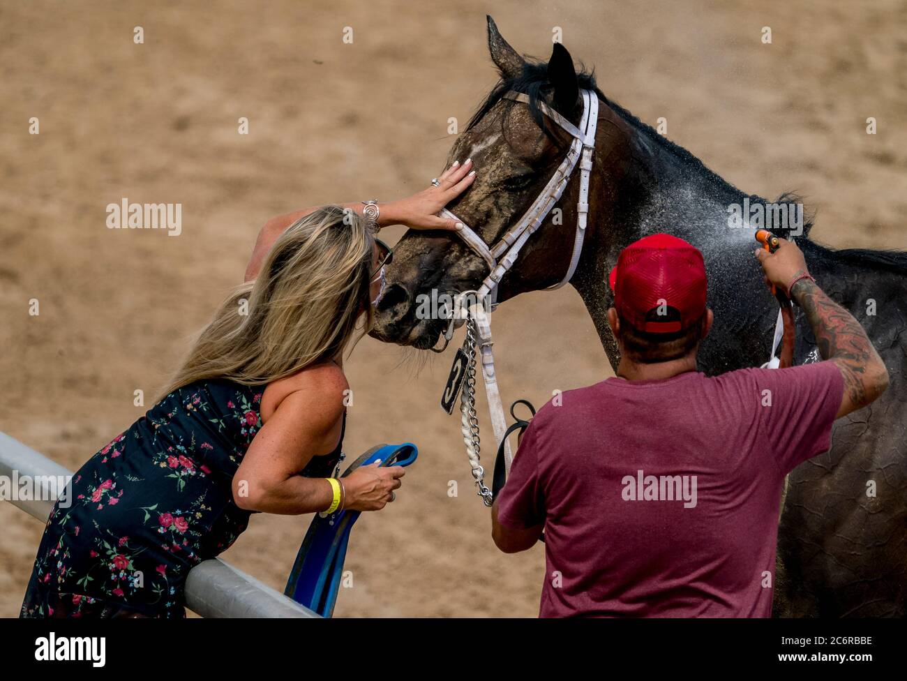 New Stanton, DE, USA. Juli 2020. 11. Juli 2020: Ein bisschen von beiden bekommt ein Kopfklopfen von einer ihrer Verbindungen nach dem schneidigen Beauty Stakes am Delaware Handicap Day im Delaware Park in New Stanton, Delaware. Scott Serio/Eclipse Sportswire/CSM/Alamy Live News Stockfoto