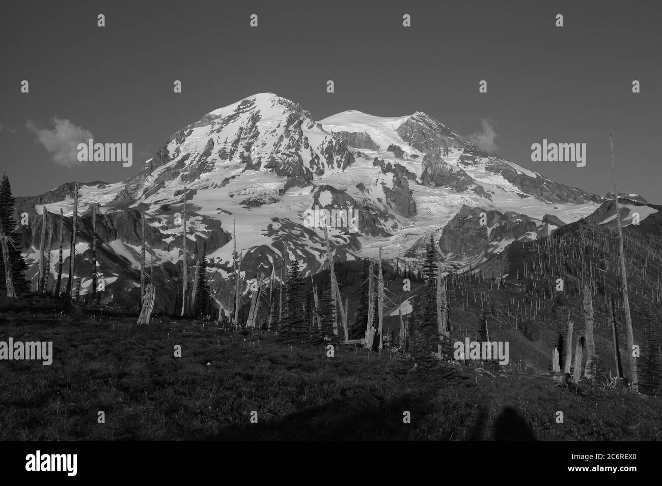 Mt Rainier Westside Stockfoto