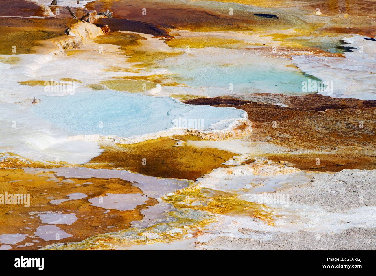 Nahaufnahme der heißen Quellen und Travertin-Formationen auf der Hauptterrasse von Mammoth Hot Springs im Yellowstone National Park, USA. Stockfoto