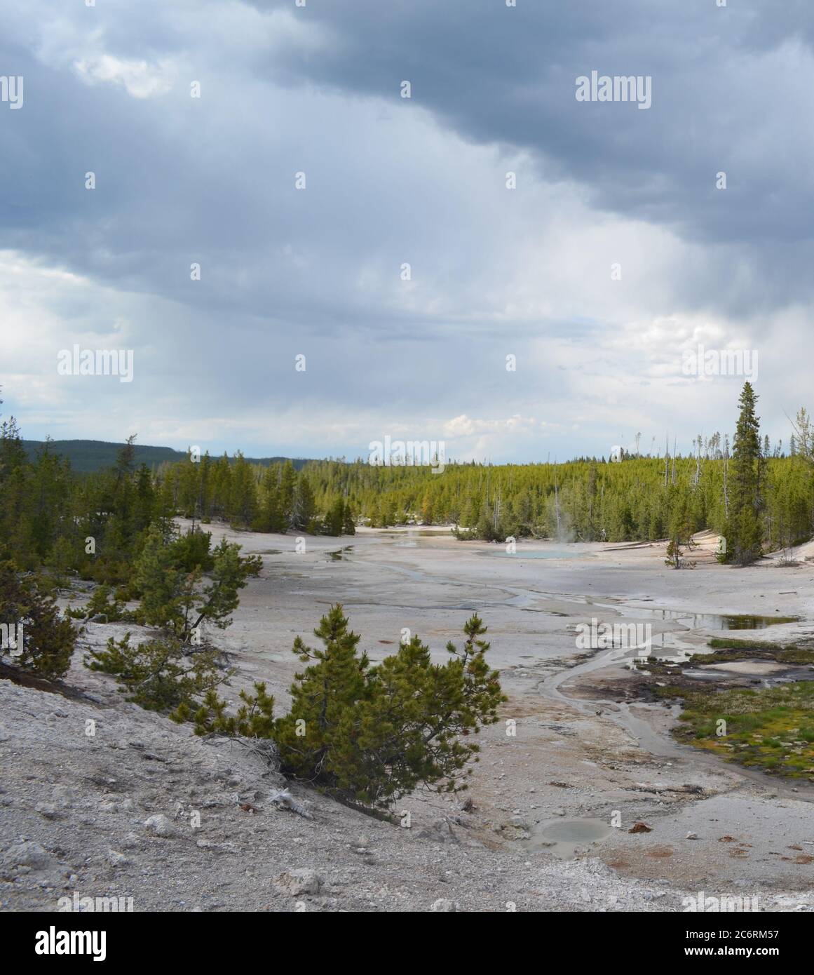 Spätsomming im Yellowstone Nationalpark: Yellow Mud Pool (Spring) und Unnamed Pool im Back Basin Bereich des Norris Geyser Basin Stockfoto