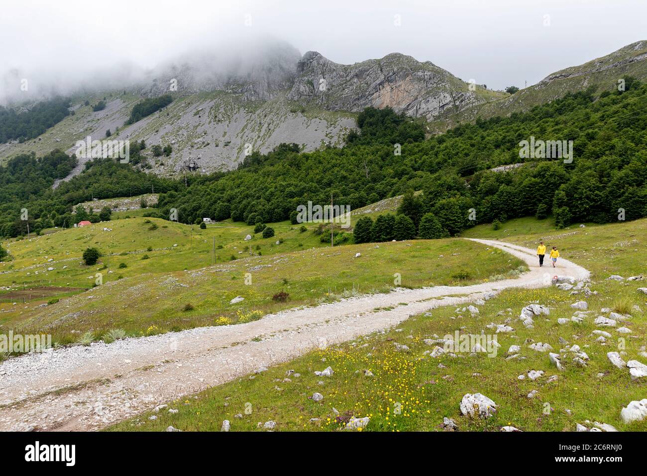 Mutter und Sohn wandern auf Schotterstraße auf dem Plateau am Bukumirsko See mit tollem Bergblick, Montenegro Stockfoto