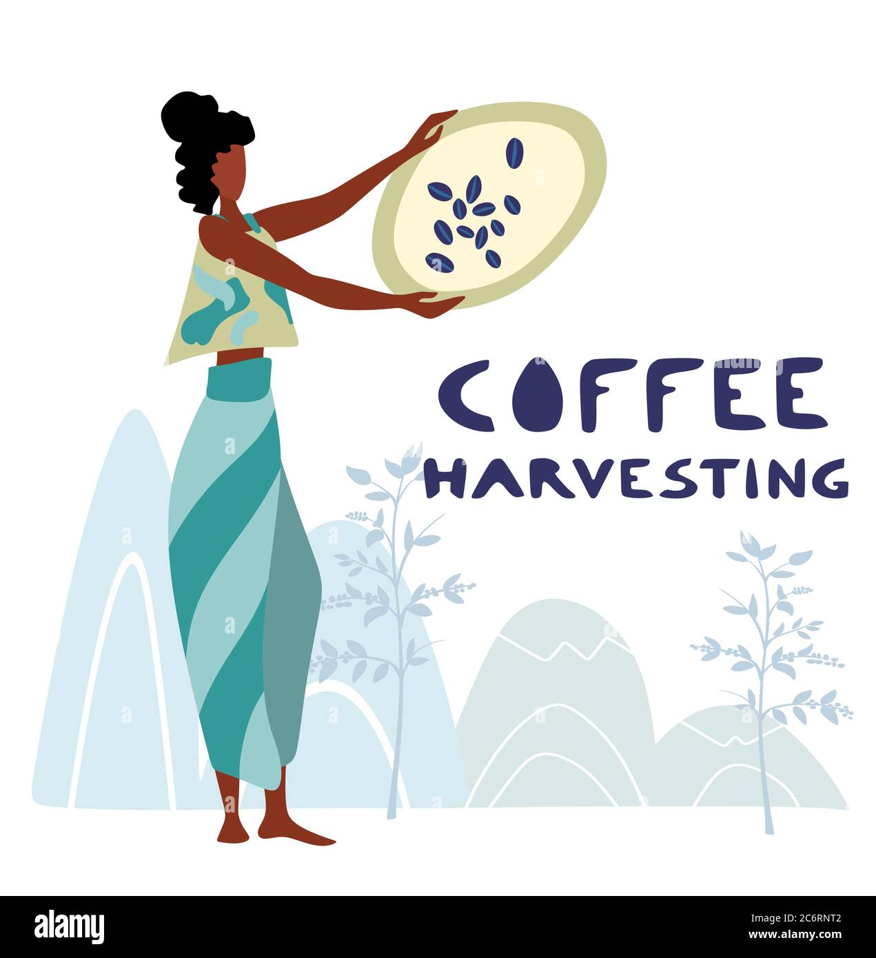 Frau nicht identifizierten Kaffee Landwirt ist Ernte Kaffeebeeren in der Kaffee-Farm Stock Vektor