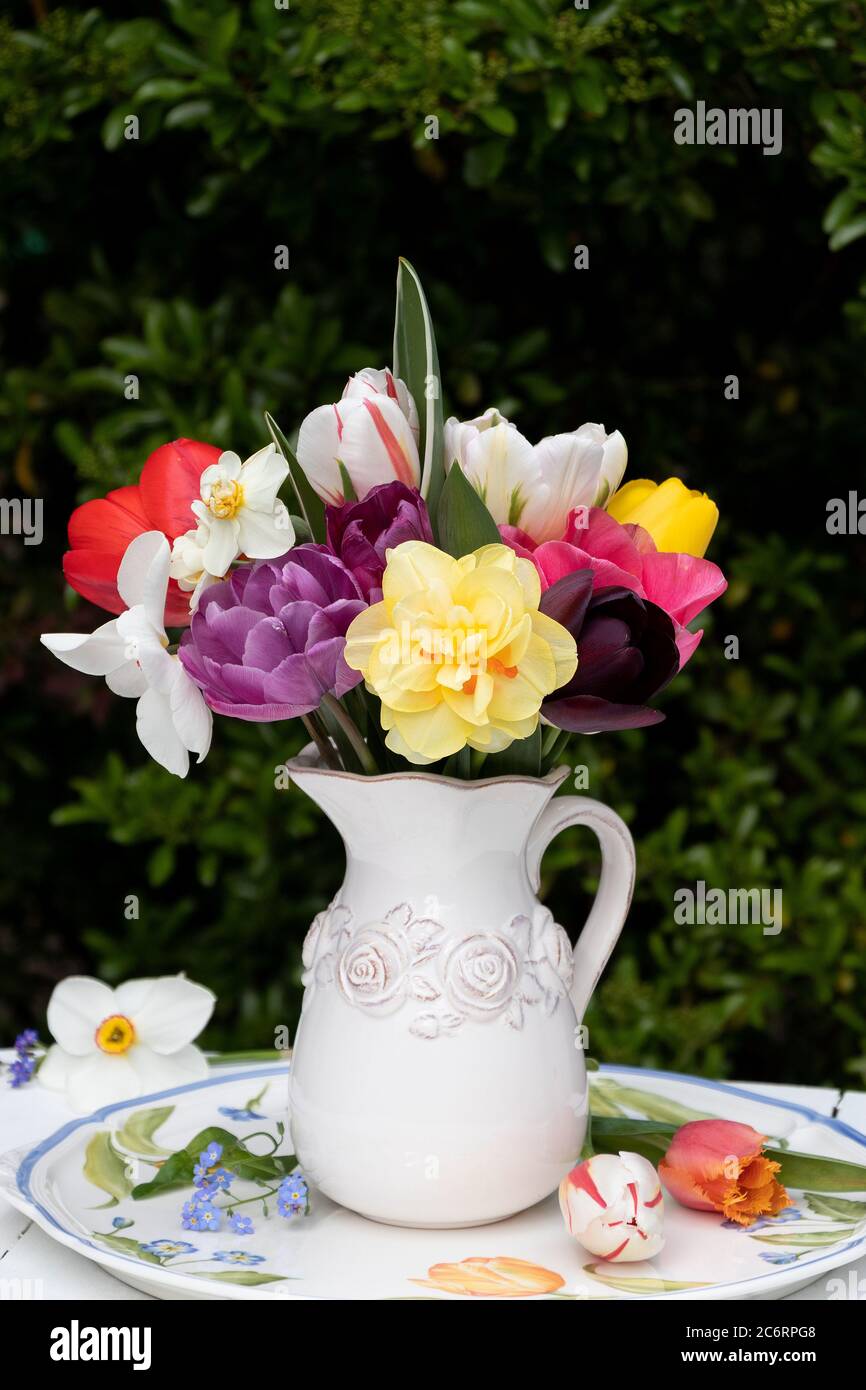 Buntes Bouquet von Tulpen und Narzissen in Vase Stockfoto