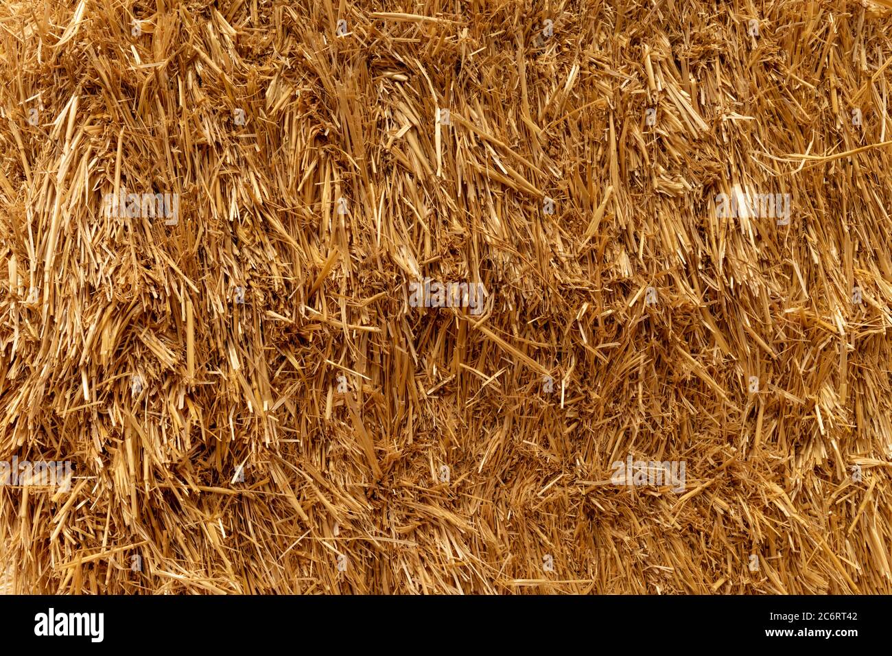 golden Heu Hintergrund, texturierte Stroh Nahaufnahme, Vorderansicht Stockfoto
