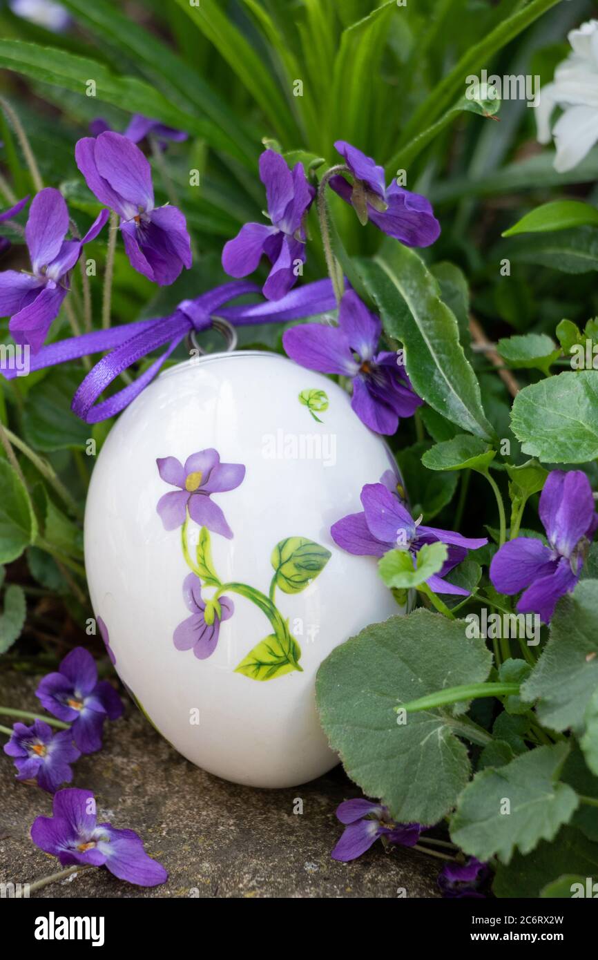 osterdekoration mit osterei und violettem Süßviolett Stockfoto