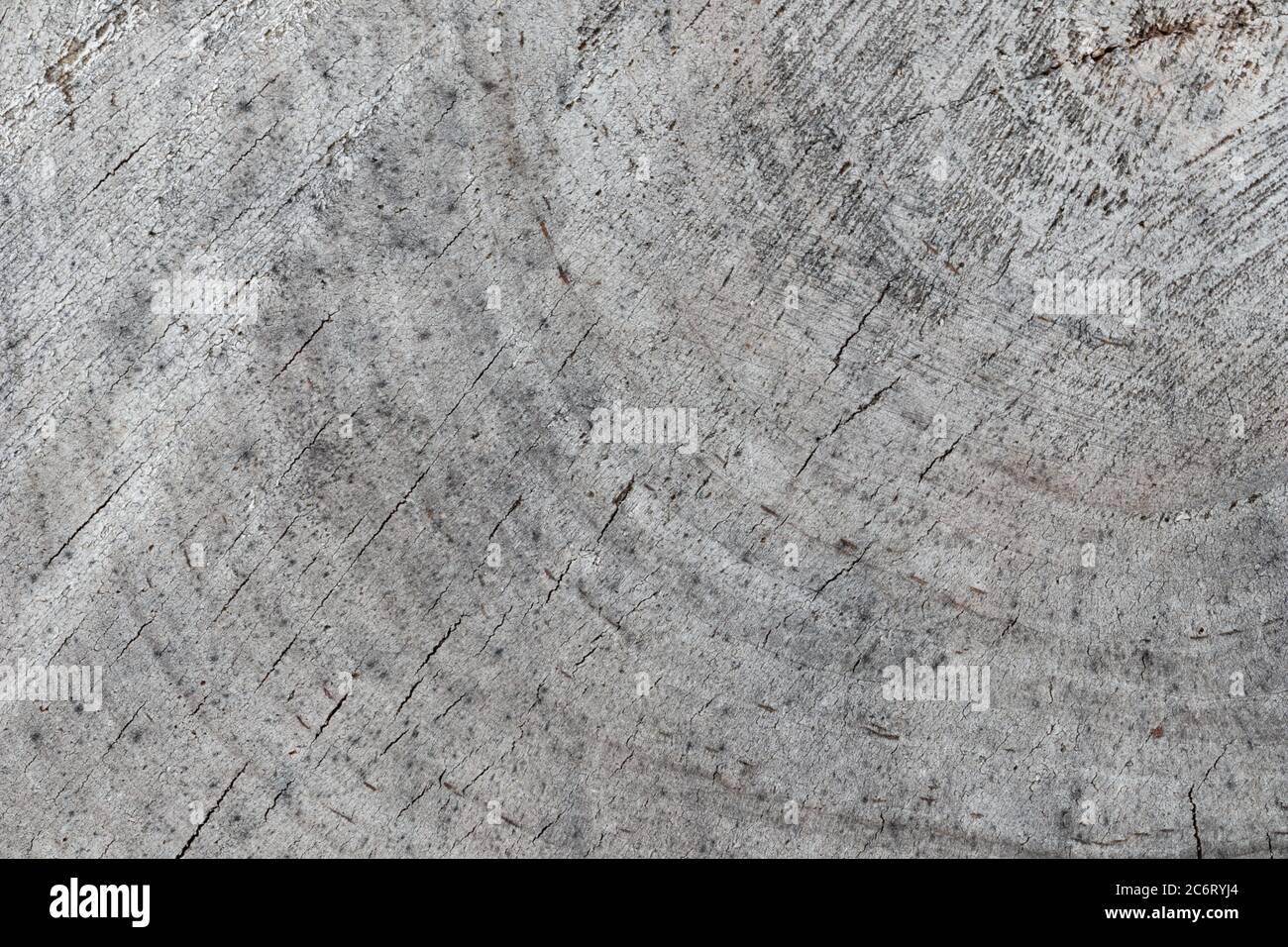 Hintergrund von einem Querschnitt eines Baumstamms. Abstrakte Textur aus den Ringen eines alten verwitterten Stumpens mit Rissen Stockfoto