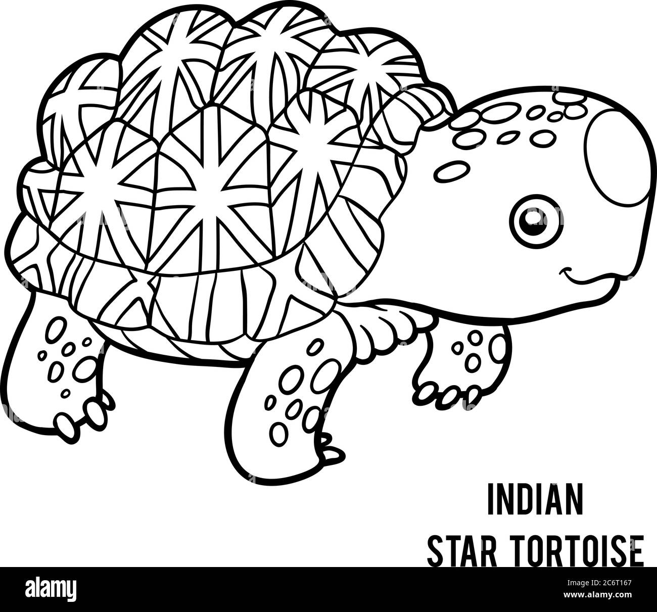 Malbuch für Kinder, Indische Sternschildkröte Stock Vektor