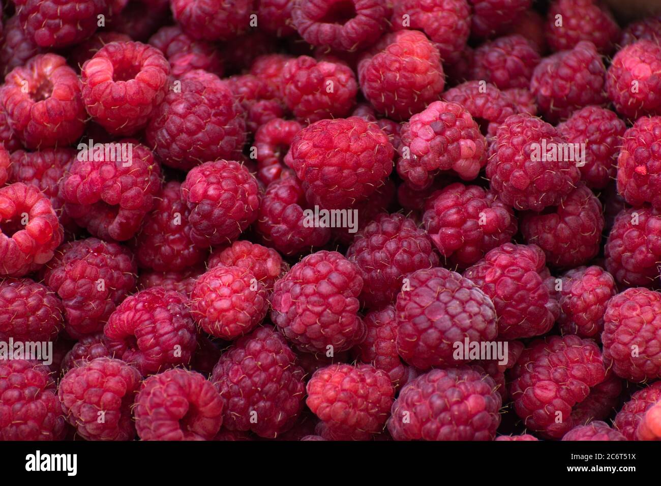 Schöner Hintergrund einer reifen großen Himbeeren Stockfoto