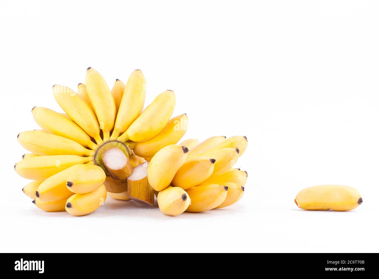 Lady Finger Banane und Hand von goldenen Bananen auf weißem Hintergrund