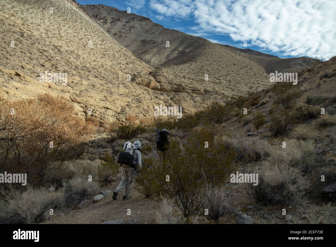 Zwei männliche Rucksacktouristen wandern den Cottonwood Canyon Trail hinauf, der Teil des Cottonwood Canyon-Marble Canyon Loop Trail im Death Valley National Park ist Stockfoto