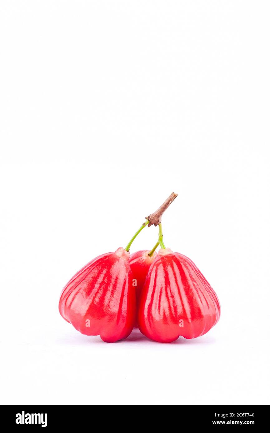 Roter Rosenapfel auf weißem Hintergrund gesunde Rose Apfel Obst Essen isoliert Stockfoto