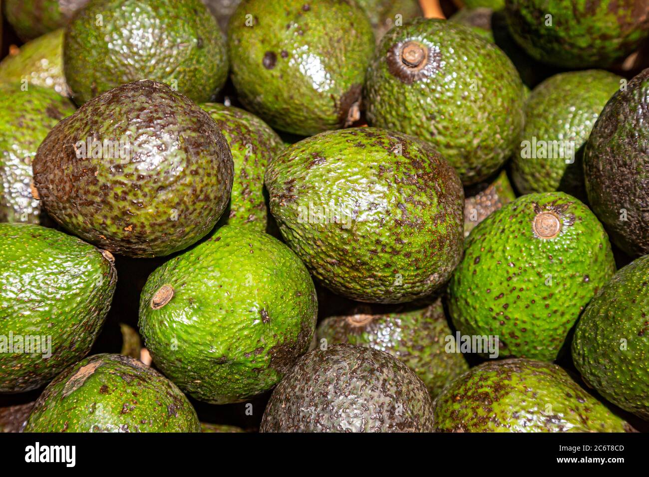 Eine Fülle von Avocados zum Verkauf auf einem Marktstand Stockfoto