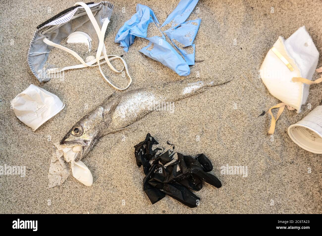 Medizinische Kunststoffabfälle und tote Kabeljau Fischmund, Einweg-Abfall Verschmutzung Auswirkungen auf sandige Küste, Coronavirus Konzept Stockfoto