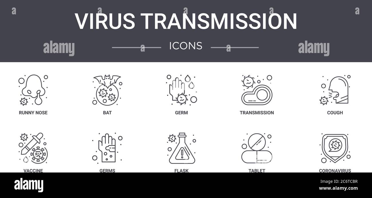 Virusübertragung Konzept Linie Symbole gesetzt. Enthält Symbole für Web, Logo, ui / ux wie Fledermaus, Übertragung, Impfstoff, Flasche, Tablette, Coronavirus, Stock Vektor