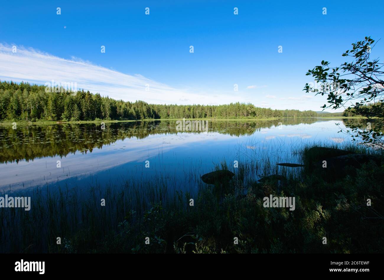 Wunderschöne Landschaften mit ruhigen Seen und Wäldern in Dalarna, Schweden. Stockfoto